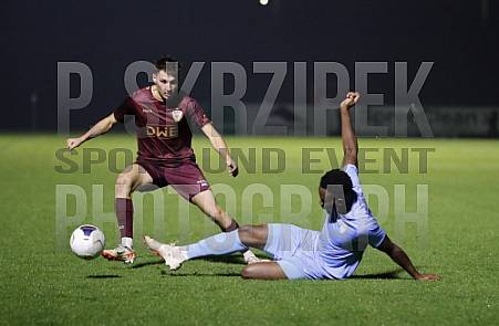 12.Spieltag BFC Dynamo - FC Viktoria 1889 Berlin