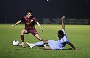 12.Spieltag BFC Dynamo - FC Viktoria 1889 Berlin