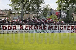 33.Spieltag BSG Chemie Leipzig - BFC Dynamo