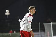 18.Spieltag BFC Dynamo - Hallescher FC