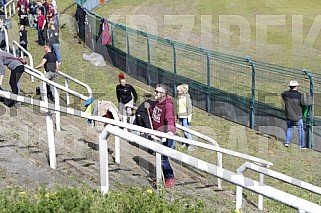 Subbotnik im Sportforum Berlin Stadion , Arbeitseinsatz