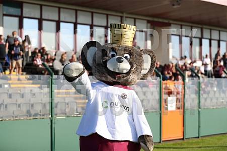 BFC Dynamo - BFC Dynamo Allstars Team, BFC Dynamo - BFC Dynamo Allstars Team,