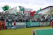31.Spieltag BFC Dynamo - BSG Chemie Leipzig