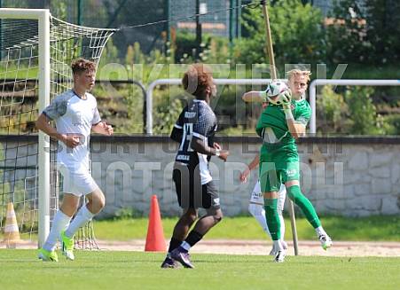 3.Spieltag BFC Preussen - BFC Dynamo,
