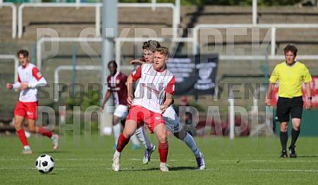 11.Spieltag BFC Dynamo - FSV Zwickau 11.Spieltag BFC Dynamo - FSV Zwickau