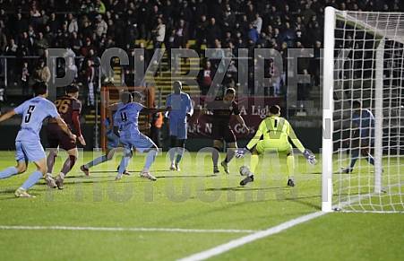 12.Spieltag BFC Dynamo - FC Viktoria 1889 Berlin