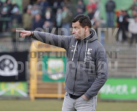 17.Spieltag BSG Chemie Leipzig - BFC Dynamo