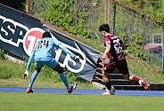 31.Spieltag FC Viktoria 1889 Berlin - BFC Dynamo