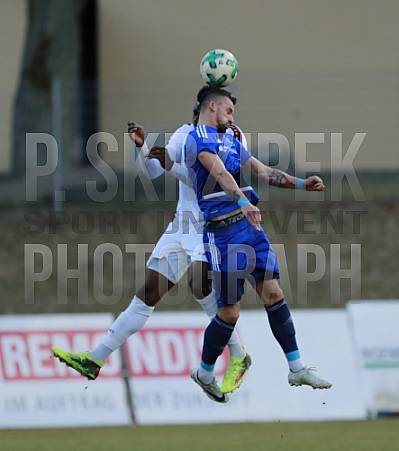 23.Spieltag TSG Neustrelitz - BFC Dynamo