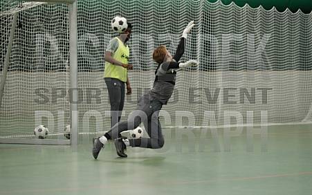 Training 03.02.2026 BFC Dynamo