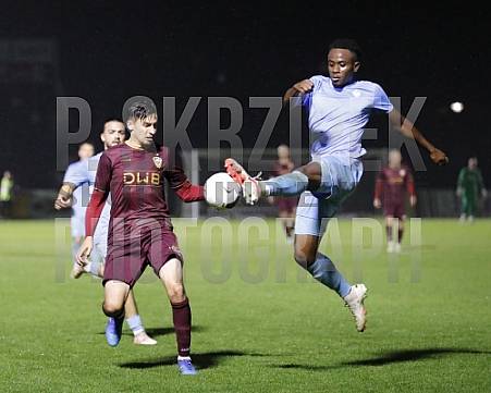 12.Spieltag BFC Dynamo - FC Viktoria 1889 Berlin