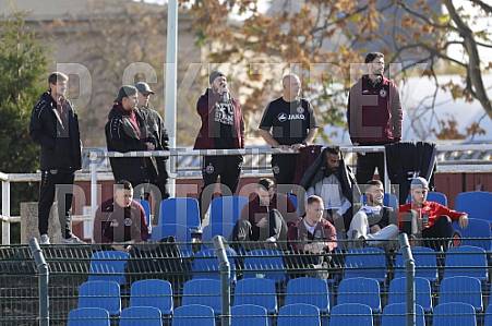 8.Spieltag BFC Dynamo U19 - FC Energie Cottbus U19 ,