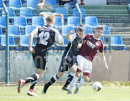Testspiel BFC Dynamo - Brandenburg SC Süd 05