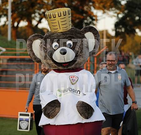 7.Spieltag BFC Dynamo - SV Babelsberg 03,