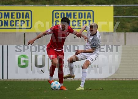 28. Spieltag FSV Zwickau - BFC Dynamo