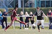9.Spieltag BFC Dynamo U19 - FSV Zwickau U19,