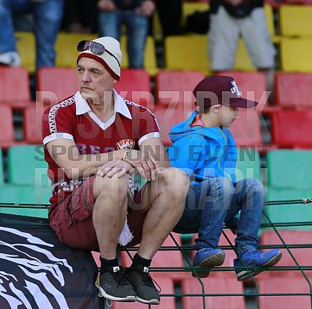 33.Spieltag BFC Dynamo - SV Babelsberg 03 ,