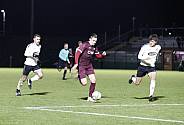 18.Spieltag BFC Dynamo - ZFC Meuselwitz,
