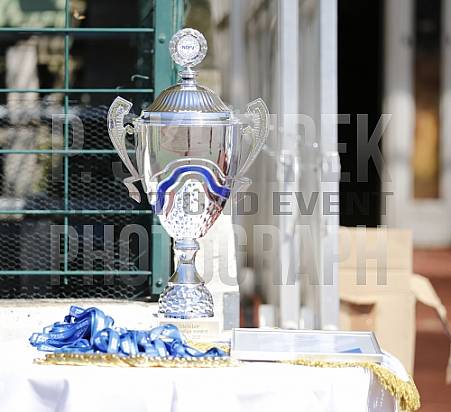 38.Spieltag VSG Altglienicke - BFC Dynamo,