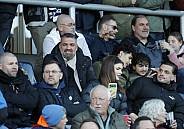 23.Spieltag SV Babelsberg 03 - BFC Dynamo