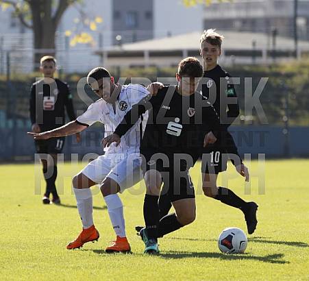 8.Spieltag BFC Dynamo U19 - FC Energie Cottbus U19 ,