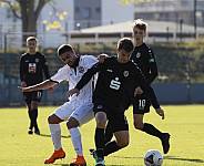 8.Spieltag BFC Dynamo U19 - FC Energie Cottbus U19 ,