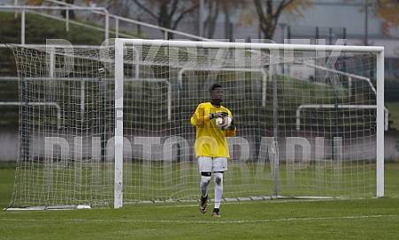 11.Spieltag BFC Dynamo U19 - FC Erzgebirge Aue U19, 11.Spieltag BFC Dynamo U19 - FC Erzgebirge Aue U19,
