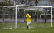 11.Spieltag BFC Dynamo U19 - FC Erzgebirge Aue U19,