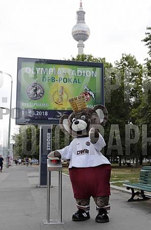 Werbung mit Teddy für die 1.Runde im DFB-Pokal