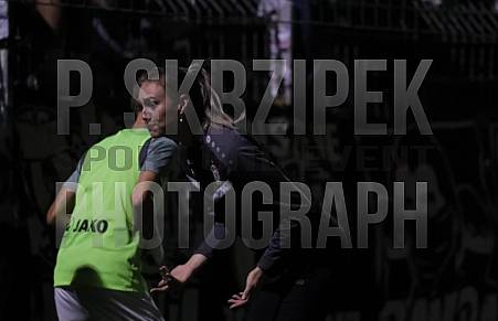 9.Spieltag BSG Chemie Leipzig - BFC Dynamo