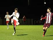 24.Spieltag BFC Dynamo - ZFC Meuselwitz,