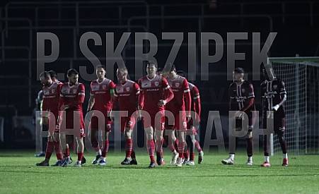 24.Spieltag BFC Dynamo - Greifswalder FC