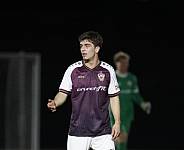 24.Spieltag BFC Dynamo - Hertha BSC II