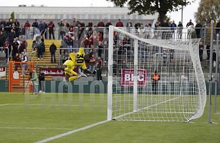 8.Spieltag BFC Dynamo - Tennis Borussia Berlin,