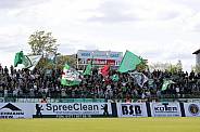 31.Spieltag BFC Dynamo - BSG Chemie Leipzig