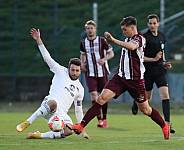 35.Spieltag BFC Dynamo - Tennis Borussia Berlin,