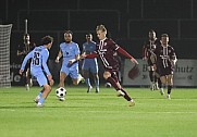 14.Spieltag BFC Dynamo - FC Viktoria 1889 Berlin