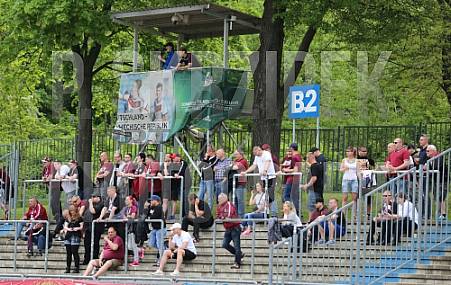 {FSV Budissa Bautzen - BFC Dynamo}{33.Spieltag}