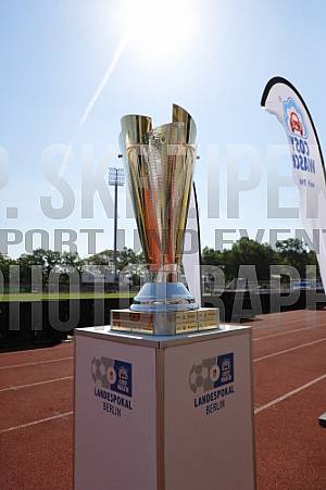 Pokalfinale VSG Altglienicke - BFC Dynamo,