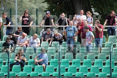 Testspiel BFC Dynamo - SV Sparta Lichtenberg