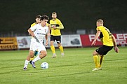 9.Spieltag VFC Plauen - BFC Dynamo