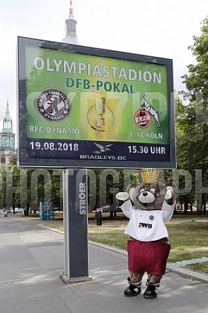Werbung mit Teddy für die 1.Runde im DFB-Pokal