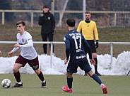Testspiel SV Babelsberg 03 - BFC Dynamo