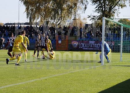 15.Spieltag BFC Dynamo - VfB Auerbach,