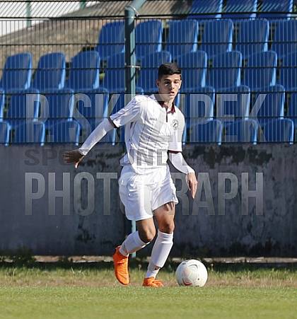 8.Spieltag BFC Dynamo U19 - FC Energie Cottbus U19 ,