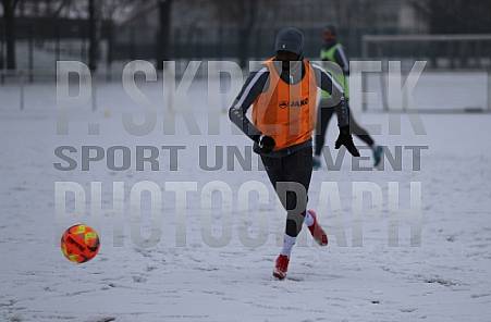Training vom 13.02.2025 BFC Dynamo