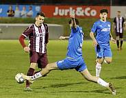 25.Spieltag SV Tasmania - BFC Dynamo,