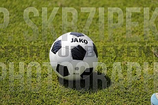 Testspiel BFC Dynamo - SV Lichtenberg 47,