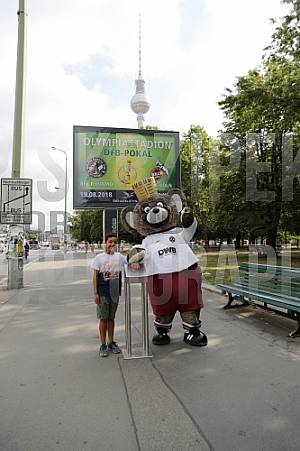 Werbung mit Teddy für die 1.Runde im DFB-Pokal