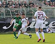 29.Spieltag BSG Chemie Leipzig - BFC Dynamo